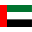 UAE Flag Icon
